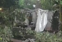 आधी रात मौसम का कहर: तेज तूफान से गिरे पेड़ और टावर, कई इलाकों में अंधेरा Yamunanagar Storm