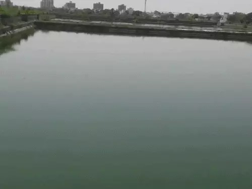 Rewari water crisis