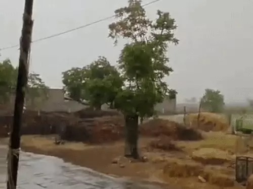 Haryana Weather