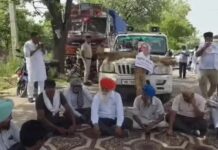 सूरजमुखी खरीद में देरी पर भड़के किसान, मंडी में धरना देकर उठाई कार्रवाई की मांग Kurukshetra Farmers Protest