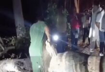 आंधी का असर, हाईवे पर बाधित हुआ यातायात; घंटों परेशान रहे लोग Paonta Sahib Highway