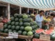 फल को लेकर फैली आशंका पर राहत, शुरुआती जांच में नहीं मिले हानिकारक तत्व Chandigarh watermelon safety