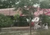 बिजली संकट पर फूटा ग्रामीणों का गुस्सा, रातभर दफ्तर के बाहर डटे रहे लोग Power Cut Protest