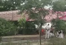 बिजली संकट पर फूटा ग्रामीणों का गुस्सा, रातभर दफ्तर के बाहर डटे रहे लोग Power Cut Protest