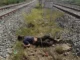 नारनौल में रेल हादसा: पटरियां पार करते समय युवक की जान गई Narnaul train accident