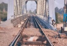 रेलवे लाइन किनारे मिला व्यक्ति का शव, परिवार में पसरा मातम Yamunanagar News