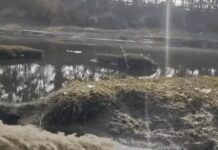 ड्रेन-2 के पानी की गुणवत्ता में सुधार, प्रदूषण फैलाने वाले उद्योगों पर सख्ती के निर्देश Panipat news