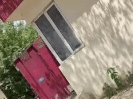 न्याय की मांग में महिला का आत्मदाह प्रयास, पुलिस ने समय रहते रोका Gurugram incident