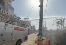 देवीलाल पार्क में आग से हरियाली को नुकसान, लापरवाही से भड़की लपटों पर पाया गया काबू Mahendragarh fire