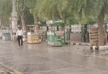 हरियाणा में मौसम ने बदला मिजाज, कई जिलों में बारिश और तूफानी हवाओं का अलर्ट Haryana Weather