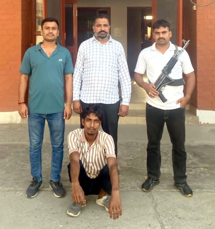 Wheat Theft Case