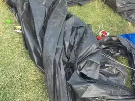 पंचकूला में HPSC अभ्यर्थियों के धरने पर पुलिस कार्रवाई, लाठीचार्ज के आरोप Panchkula News,