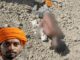 हत्या के 7 दिन बाद भी नहीं हुआ अंतिम संस्कार: इंसाफ की मांग पर अड़ा परिवार, महापंचायत का ऐलान Karnal Bobby Murder Case