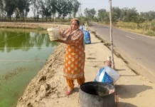 गांव की बेटी ने बदली पहचान, मत्स्य पालन से रची सफलता की नई कहानी Women Empowerment