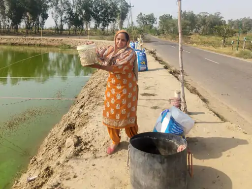 Women Empowerment