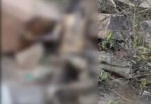 गुरुग्राम की अरावली पहाड़ियों में मिला नर कंकाल, पास में खून के निशान मिलने से सनसनी Aravalli Hills