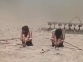 चोरी के शक में युवकों संग अमानवीय बर्ताव, VIDEO सामने आने के बाद मचा बवाल Sonipat News,