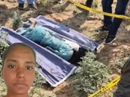 आठ साल पुराने रिश्ते का दर्दनाक अंत, हत्या के बाद शव ठिकाने लगाने की कोशिश Murder Case