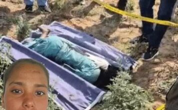 आठ साल पुराने रिश्ते का दर्दनाक अंत, हत्या के बाद शव ठिकाने लगाने की कोशिश Murder Case