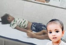 पानीपत में धागे के बंडलों के नीचे दबीं तीन बच्चियां, 2 की मौत; एक की हालत गंभीर Panipat Factory Accident