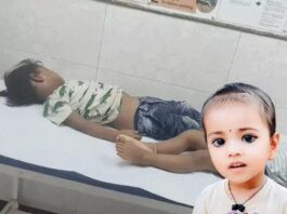 पानीपत में धागे के बंडलों के नीचे दबीं तीन बच्चियां, 2 की मौत; एक की हालत गंभीर Panipat Factory Accident