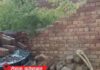 हरियाणा में आंधी-तूफान का कहर, तेज हवाओं से जनजीवन प्रभावित; कई जिलों में अलर्ट जारी Haryana Weather,