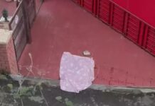 शिमला में हत्या के बाद स्कूल संचालिका का VIDEO वायरल, जान का खतरा बताया था; 17 घंटे बाद भी गिरफ्तारी नहीं Shimla Murder,