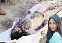 नहर में मिला युवती का शव, पहचान के बाद जांच में सामने आए कई अहम तथ्य Yamunanagar News