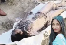 हरियाणा में नहर से युवती का शव बरामद, पिंक नेल पॉलिश से हुई पहचान Yamunanagar News