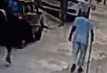 जींद में सांड के हमले से बुजुर्ग गंभीर घायल, अस्पताल में भर्ती Jind News,