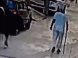 जींद में सांड के हमले से बुजुर्ग गंभीर घायल, अस्पताल में भर्ती Jind News,