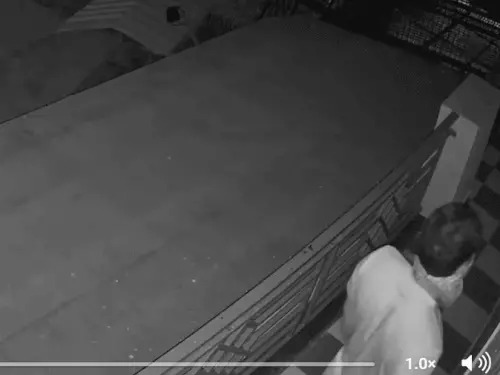 Gurugram Robbery