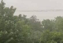 मौसम का बदलेगा मिजाज, कई जिलों में तेज हवाओं और बारिश की चेतावनी Haryana Weather