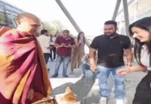 गुरुग्राम में ‘पीस डॉग’ आलोका को देखने उमड़ी भीड़, 3700 किमी की पदयात्रा से बना आकर्षण का केंद्र Peace Dog Aloka,