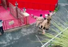 शिमला में हरियाणा की महिला की गोली मारकर हत्या, मौत से पहले का VIDEO आया सामने Shimla Murder Case,