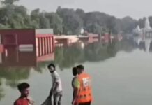 कुरुक्षेत्र के सन्निहित सरोवर में मिला शव, 4 दिन पुरानी होने की आशंका Kurukshetra News,