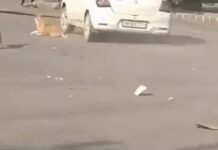 गुरुग्राम की व्यस्त सड़क पर कार चालक का खतरनाक कारनामा, लोगों में दहशत Gurugram