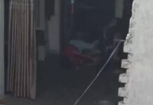 हांसी में महिला से बेरहमी, सड़क पर घसीटकर पीटा; कपड़े फाड़ने और वीडियो बनाने का आरोप Hansi News,