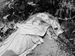 हरियाणा में दादा की गोली मारकर हत्या, बाड़े में छिपाया था हथियार; पुलिस जांच में जुटी Haryana Murder Case,