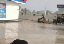 हरियाणा के 7 जिलों में आंधी-बारिश का अलर्ट, 50 किमी प्रति घंटे की रफ्तार से चल सकती हैं हवाएं Haryana Weather
