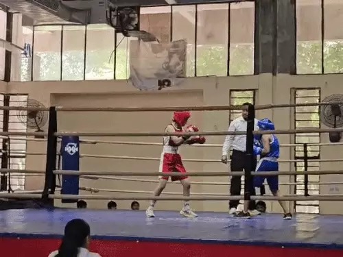 Boxing Championship,