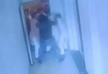 पानीपत में AC खराब होने पर होटल मालिक के बेटे की पिटाई, VIDEO वायरल Panipat News,