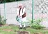 विश्व पर्यावरण दिवस पर हरित पहल को मिली नई गति, विकास और संरक्षण पर रहा जोर World Environment Day