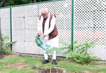 विश्व पर्यावरण दिवस पर हरित पहल को मिली नई गति, विकास और संरक्षण पर रहा जोर World Environment Day