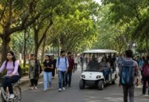 चंडीगढ़ PU में हर बुधवार रहेगा ‘वाहन मुक्त दिवस’, मुफ्त शटल बस और ई-रिक्शा की सुविधा Punjab University