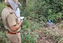 रहस्यमयी कंकाल मामले में बड़ा खुलासा, जांच रिपोर्ट के बाद हत्या का केस दर्ज Panchkula Skeleton Case