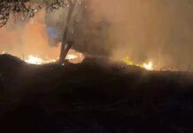 रिहायशी इलाके में भीषण आग से अफरा-तफरी, घर का सामान राख Narnaul News