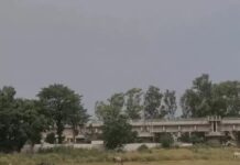 मौसम ने बदली करवट, कई इलाकों में तेज हवाओं और बरसात की चेतावनी जारी Haryana Weather