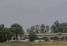 झुलसाती गर्मी पर मौसम का ब्रेक, कई जिलों में तेज हवाओं और बूंदाबांदी की संभावना Haryana Weather Alert