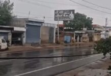 हरियाणा में मौसम का बदला मिजाज, कई जिलों में तेज हवाओं और बारिश की चेतावनी Haryana Weather